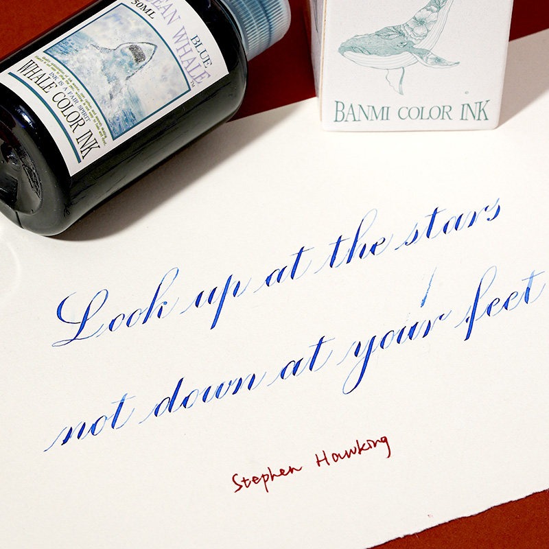 Banmi Whale Series Fountain Pe - Fountain Pen Bottled Ink recension och pris